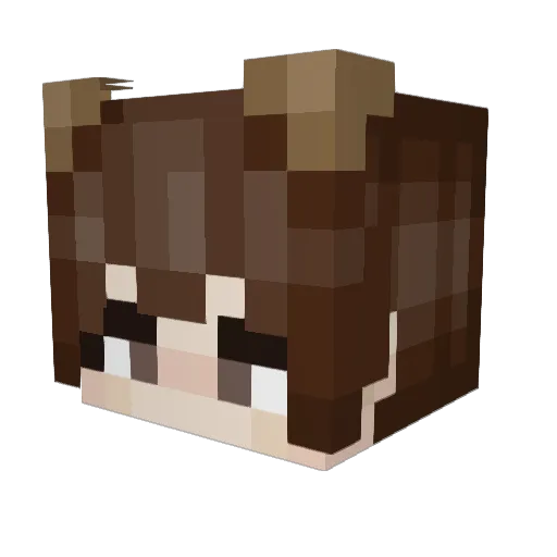 kep1ernicky Minecraft avatar head, 3D render