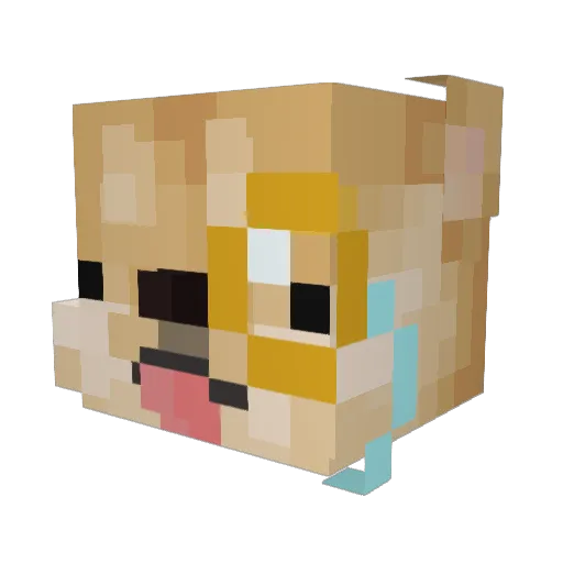 ker_sploosh Minecraft avatar head, 3D render