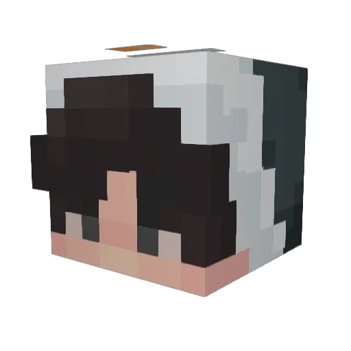 kerfubblenugget Minecraft avatar head, 3D render