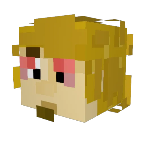 kerm1t___ Minecraft avatar head, 3D render