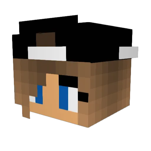 kermetZfrog Minecraft avatar head, 3D render