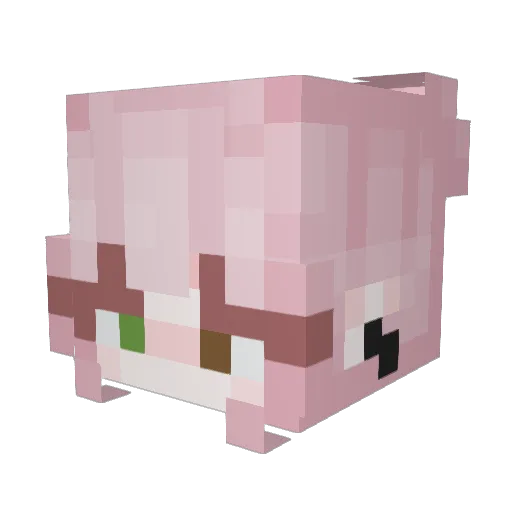 kermioo Minecraft avatar head, 3D render