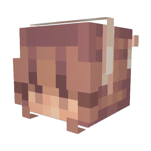 kershas Minecraft avatar head, 3D render