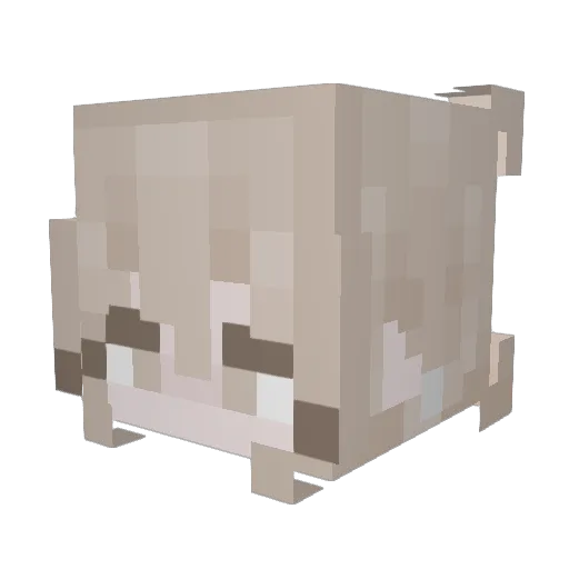 kesien Minecraft avatar head, 3D render