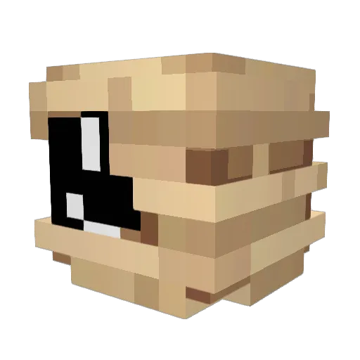 kessoudis Minecraft avatar head, 3D render