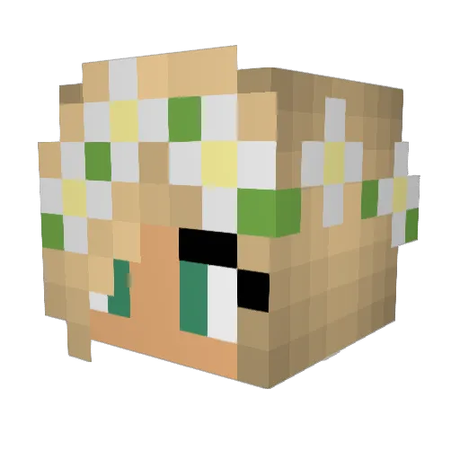 ket2003 Minecraft avatar head, 3D render