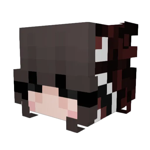 ketaminae Minecraft avatar head, 3D render