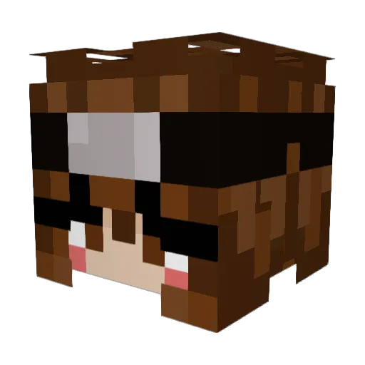 ketaminx Minecraft avatar head, 3D render