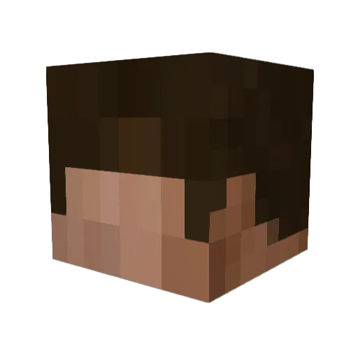 ketchupsteven Minecraft avatar head, 3D render