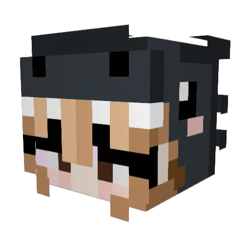 ketnuja Minecraft avatar head, 3D render