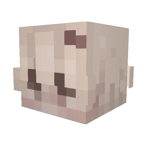 kevienho Minecraft avatar head, 3D render