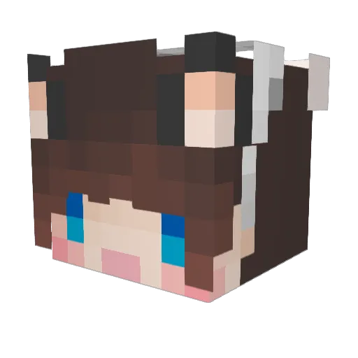 kevin0258 Minecraft avatar head, 3D render