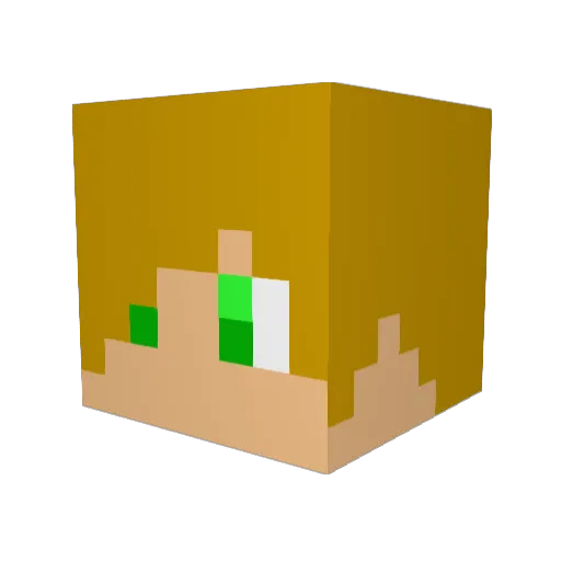 kevin67100 Minecraft avatar head, 3D render