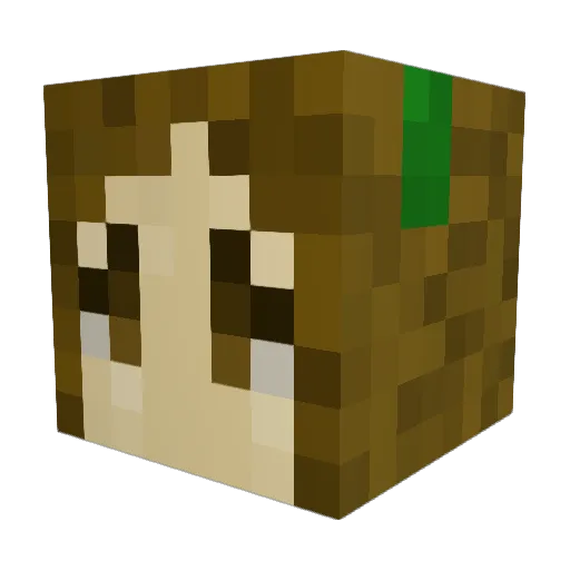 kevstew2 Minecraft avatar head, 3D render