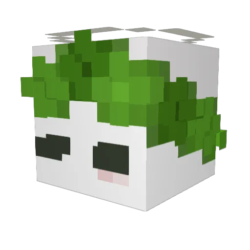 keyboardcrust Minecraft avatar head, 3D render