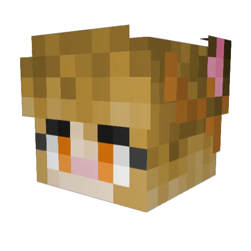 keylimePrincess Minecraft avatar head, 3D render