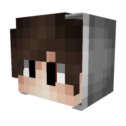 keyore Minecraft avatar head, 3D render