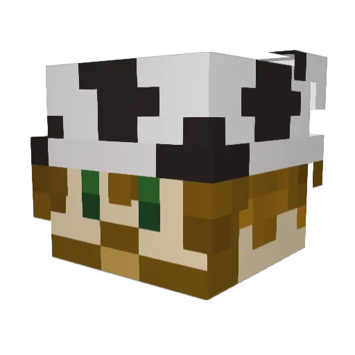 kfr4014 Minecraft avatar head, 3D render