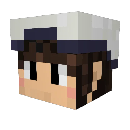 ki127 Minecraft avatar head, 3D render