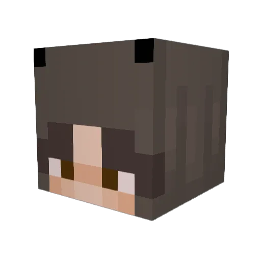 kialola Minecraft avatar head, 3D render