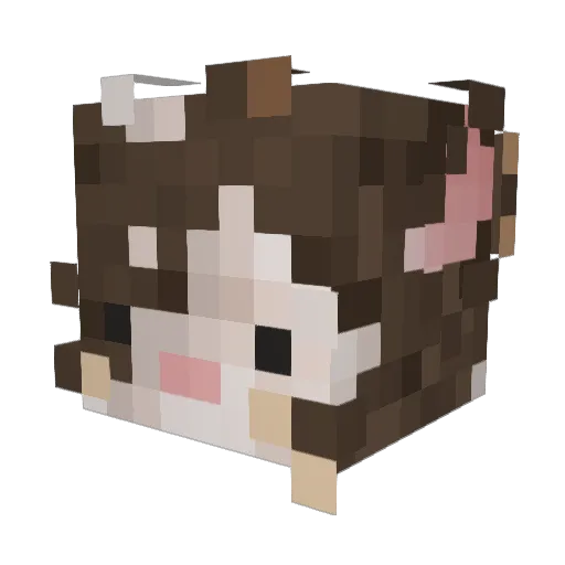 kianaAiry Minecraft avatar head, 3D render