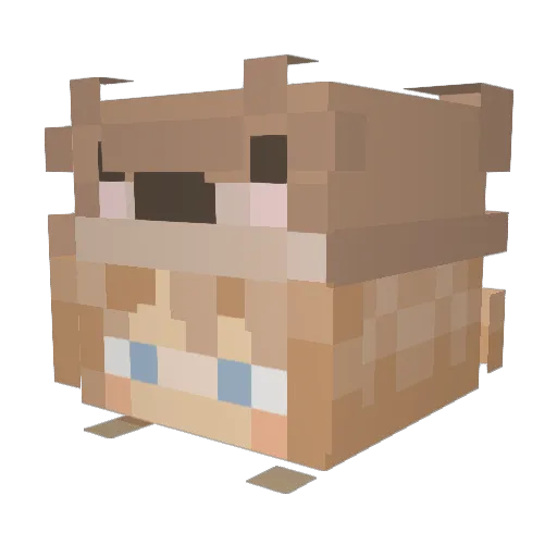 kiaramac2003 Minecraft avatar head, 3D render