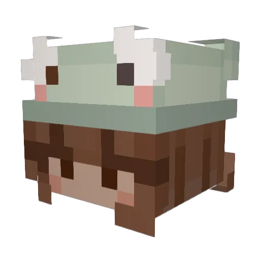 kiario Minecraft avatar head, 3D render