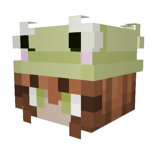 kibees Minecraft avatar head, 3D render