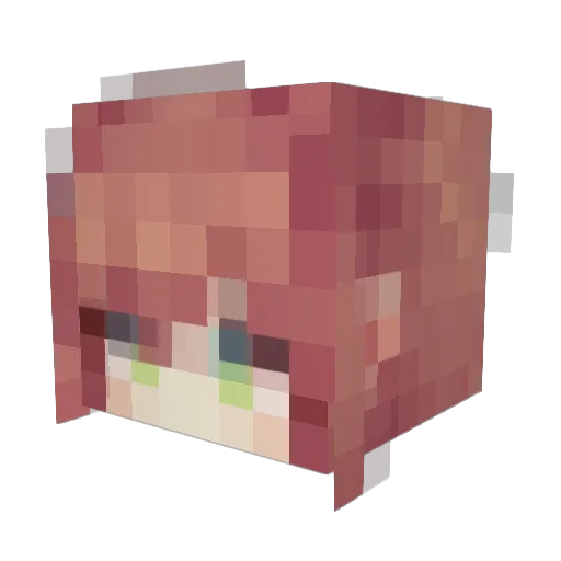 kicimonici Minecraft avatar head, 3D render