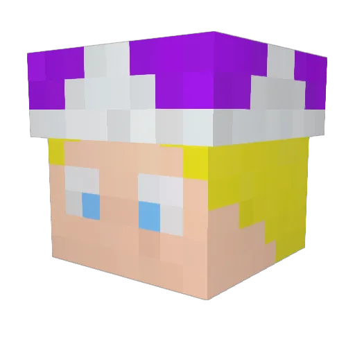 kickingdoor Minecraft avatar head, 3D render