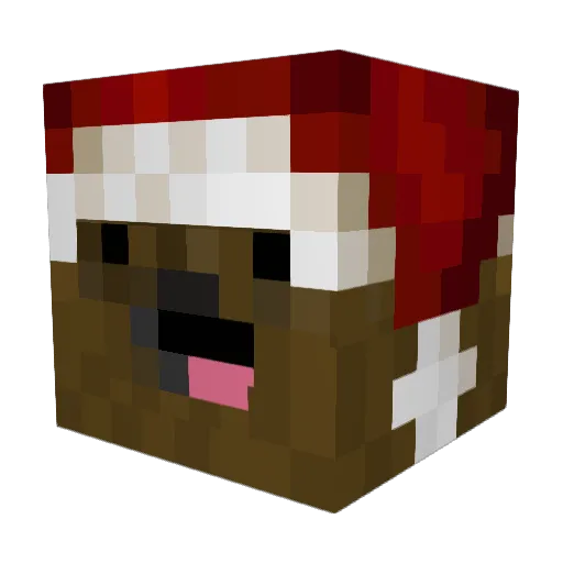 kickster54 Minecraft avatar head, 3D render