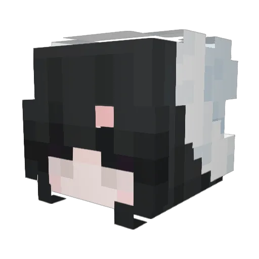 kidOrOl Minecraft avatar head, 3D render