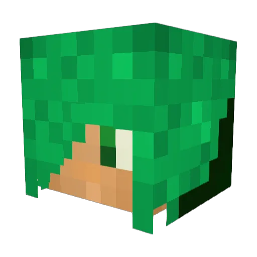 kidainu Minecraft avatar head, 3D render