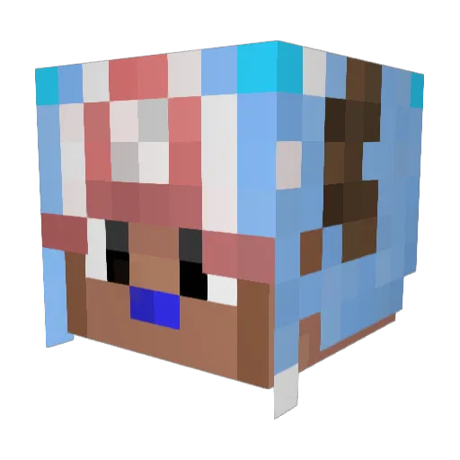 kidark Minecraft avatar head, 3D render