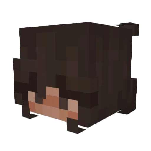 kidawgg Minecraft avatar head, 3D render