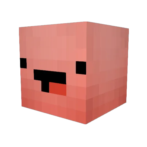 kidneyeaterr Minecraft avatar head, 3D render