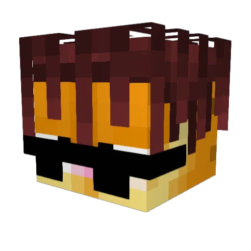 kidneystomper Minecraft avatar head, 3D render