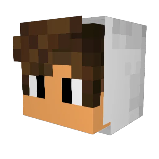 kidvingala Minecraft avatar head, 3D render