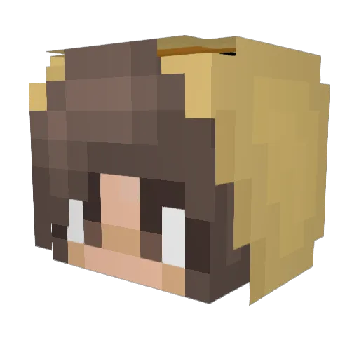 kidzbop2004 Minecraft avatar head, 3D render