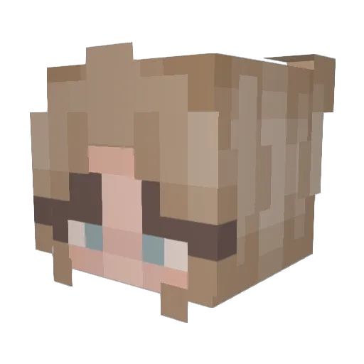 kidzsumkore Minecraft avatar head, 3D render