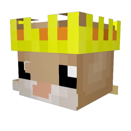 kieran3 Minecraft avatar head, 3D render