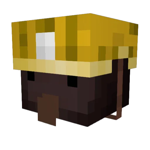 kieraz123 Minecraft avatar head, 3D render