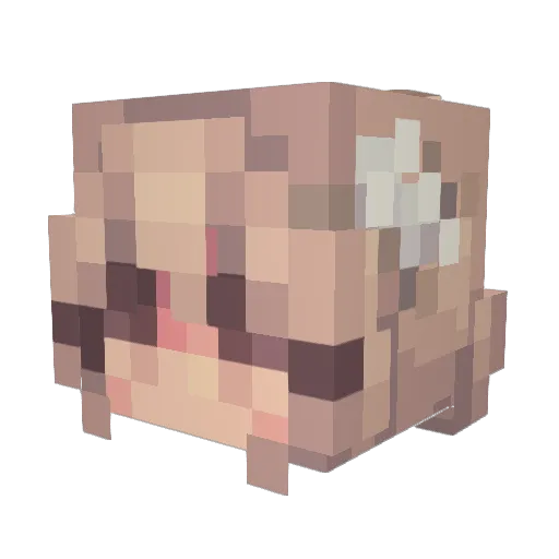 kierrasoftie Minecraft avatar head, 3D render
