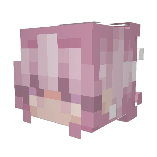 kietl Minecraft avatar head, 3D render