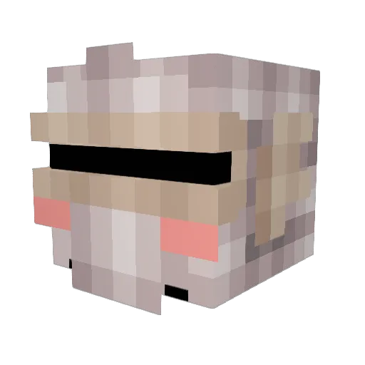 kiisan111 Minecraft avatar head, 3D render