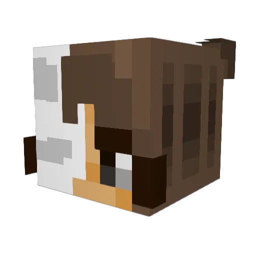 kiki8887 Minecraft avatar head, 3D render