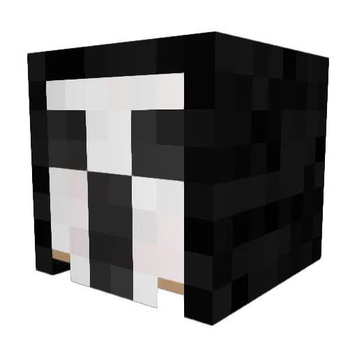 kikimorbach Minecraft avatar head, 3D render