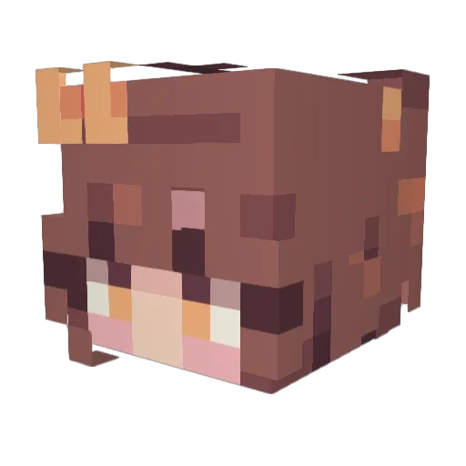 kikithekiwi07 Minecraft avatar head, 3D render