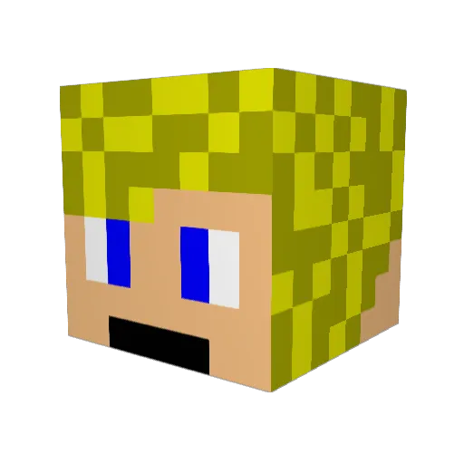 kiko262 Minecraft avatar head, 3D render