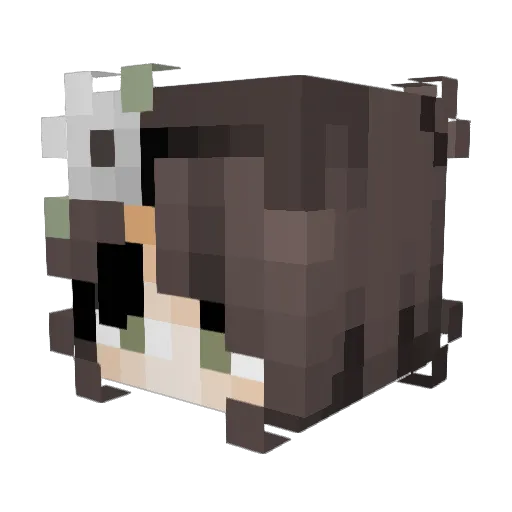 kilcigh Minecraft avatar head, 3D render